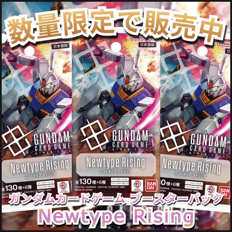 ガンダムカードゲーム Newtype Rising 2box分 48.パック ガンダムカードゲーム ブースターパック Newtype Rising