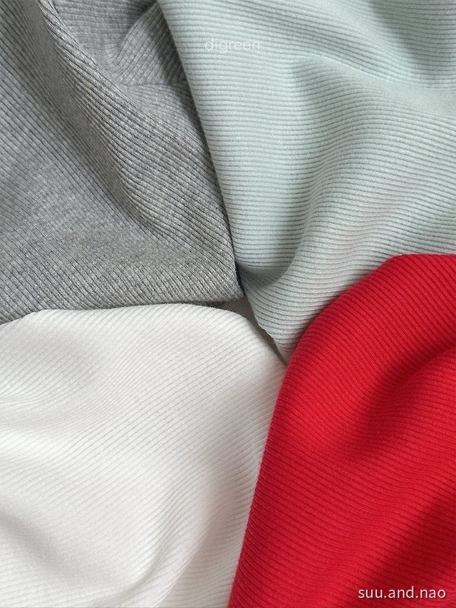 取寄：digreen　ハグリブTシャツ※送料無料