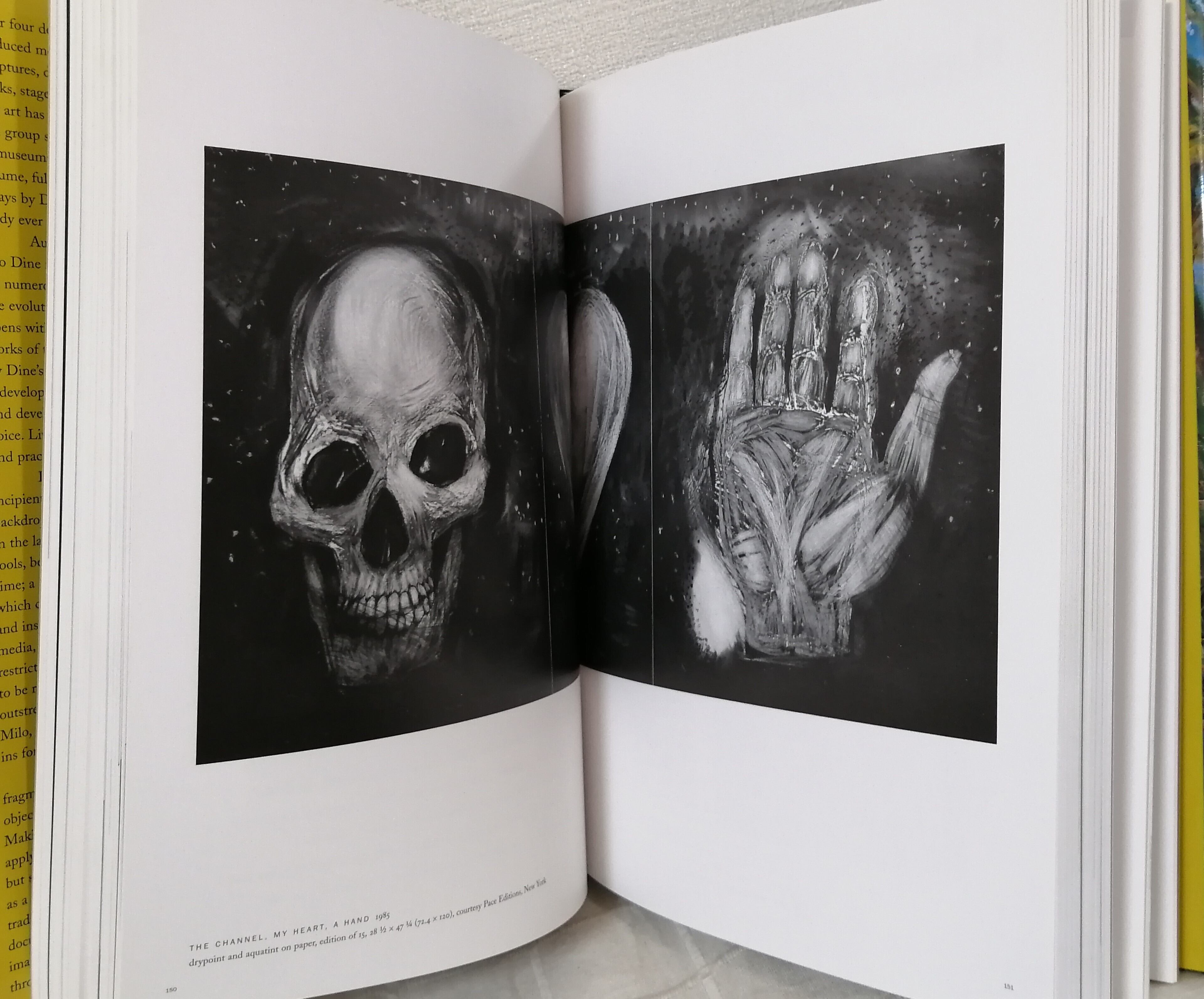 Marco Livingstone Jim Dine The Alchemy of Images ジム・ダイン 洋書