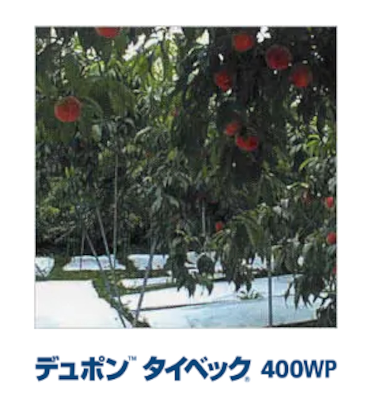 e0792dedb42ce89ef0d6e048da213b