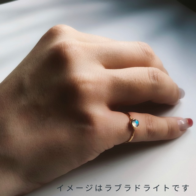 【sign ring】Capricorn  ～山羊座・スモーキークオーツ～ 〈gold〉