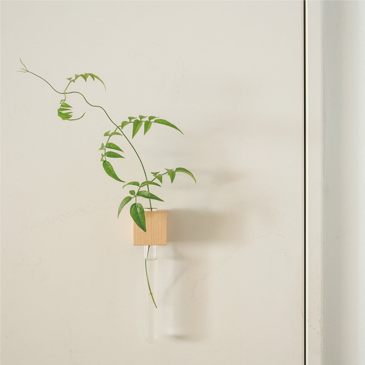 SOLO / 試験管一輪挿し | WOODWORK makers market