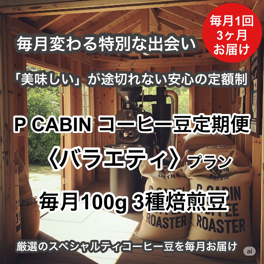 P CABIN コーヒー豆定期便<バラエティ>(100g×3種豆)【受注焙煎・自家焙煎コーヒー豆】(お試し・味比べ・サブスク)