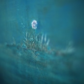 「Dynamis」—原画 by matsuko