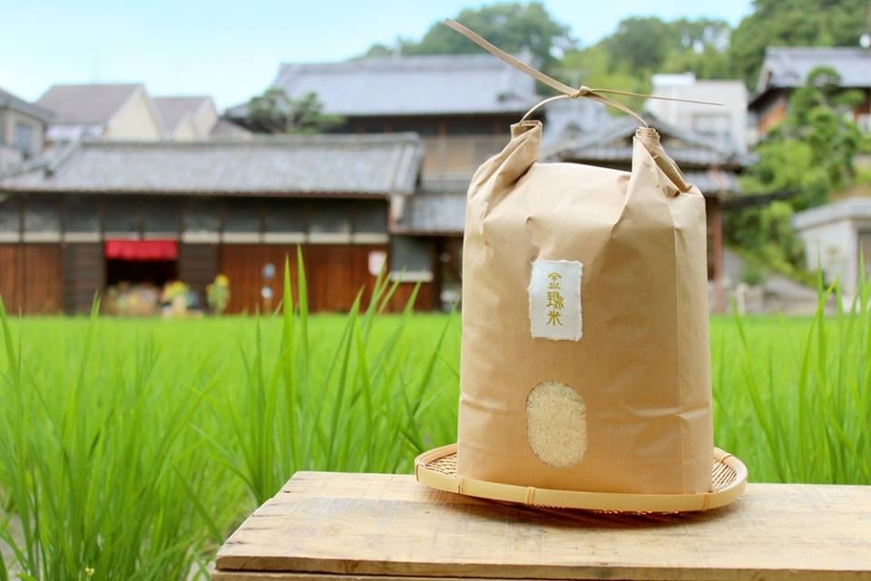 奈良おおの農園　新米【金鵄米　/玄米/5kg】きんしまい2023年産：冷めても美味しいヒノヒカリ
