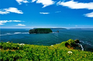 波動島