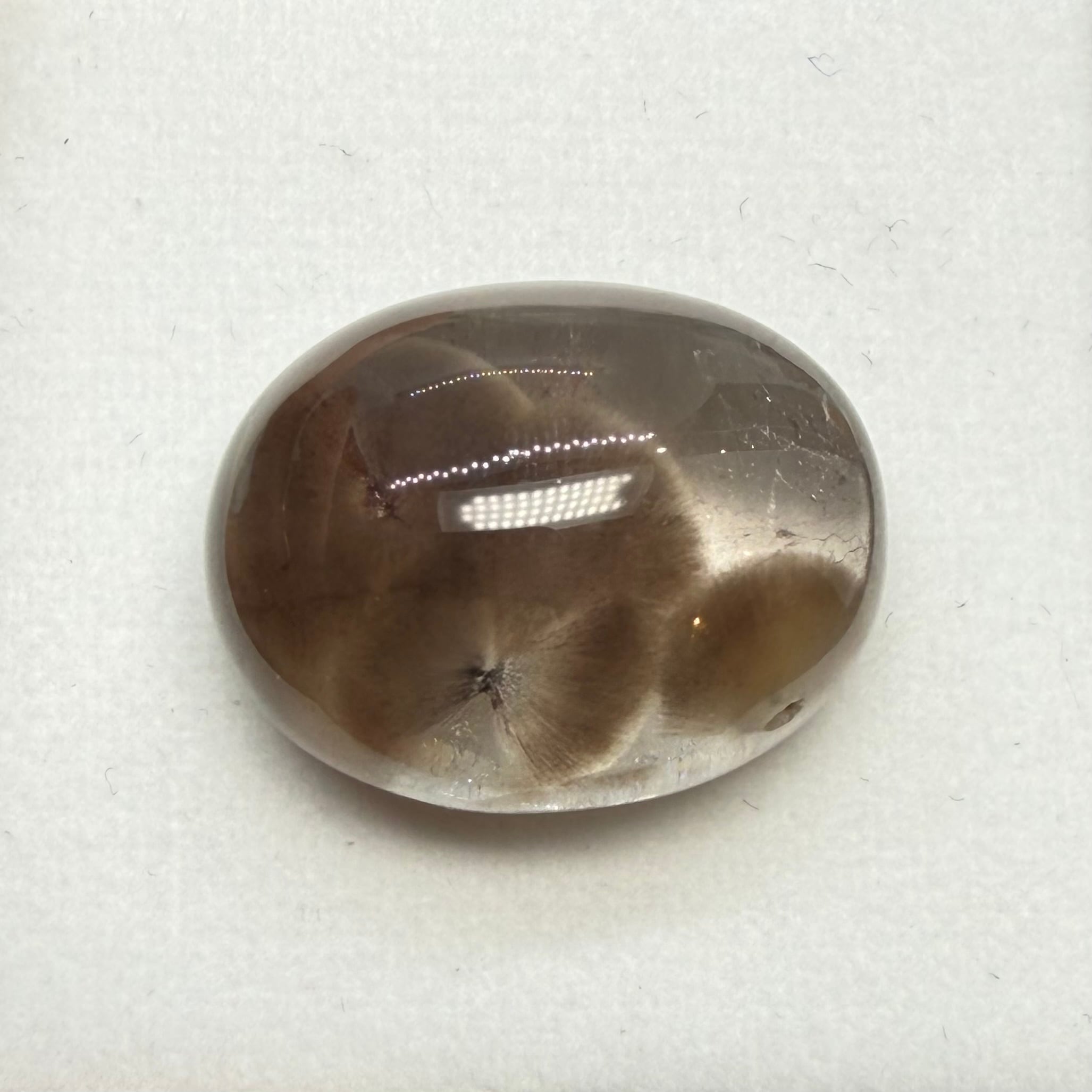 モフモフなポンポンクオーツ