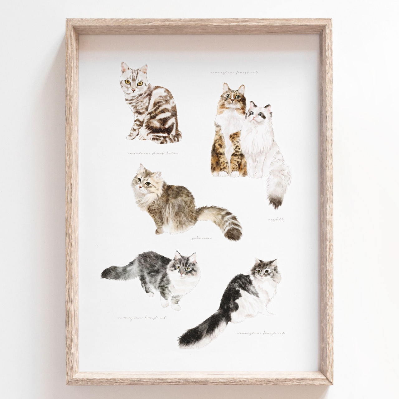 『mofter』ふんわり水彩イラストポスター 猫だらけ cats
