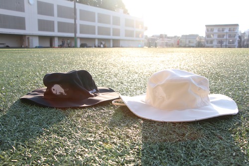 サファリハット