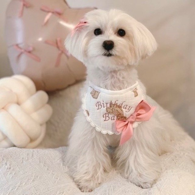 即納販売　birthday bear  Bib (サテンヘアピン付き)　韓国ハンドメイドブランド　