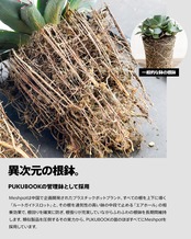 Meshpot STANDARD 6cm ブラック