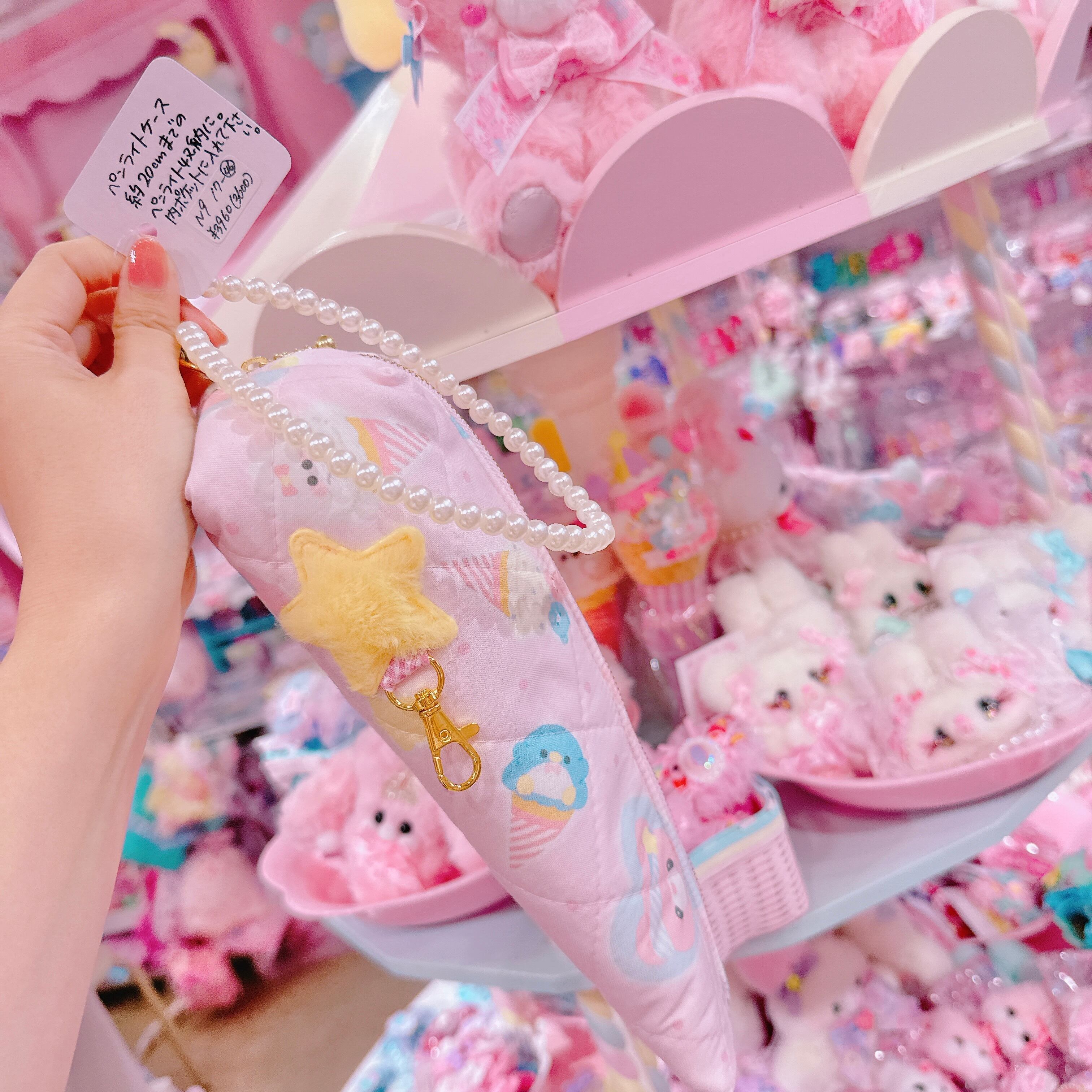 【N9】17-46ペンライトケース