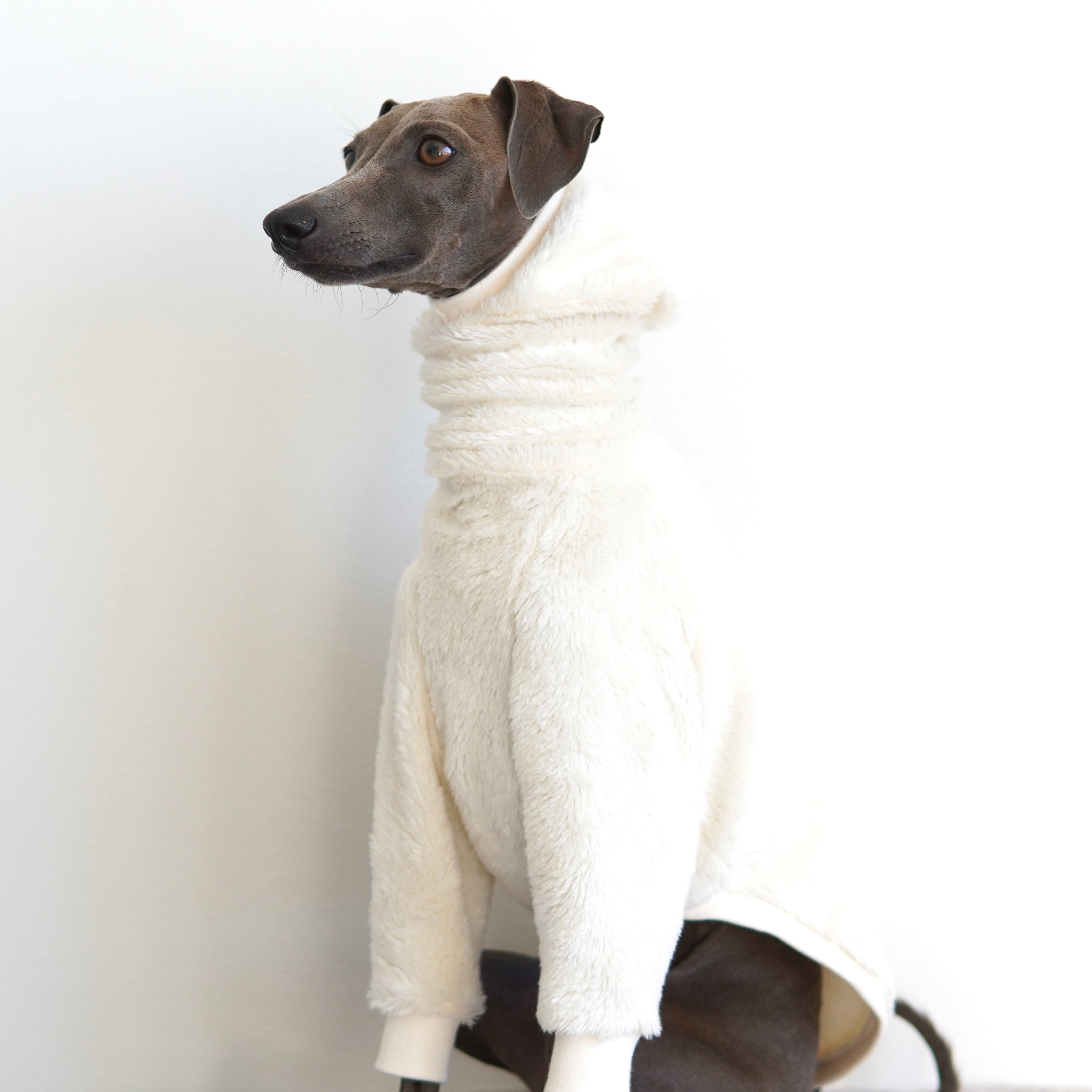 organic cotton pullover | bacio