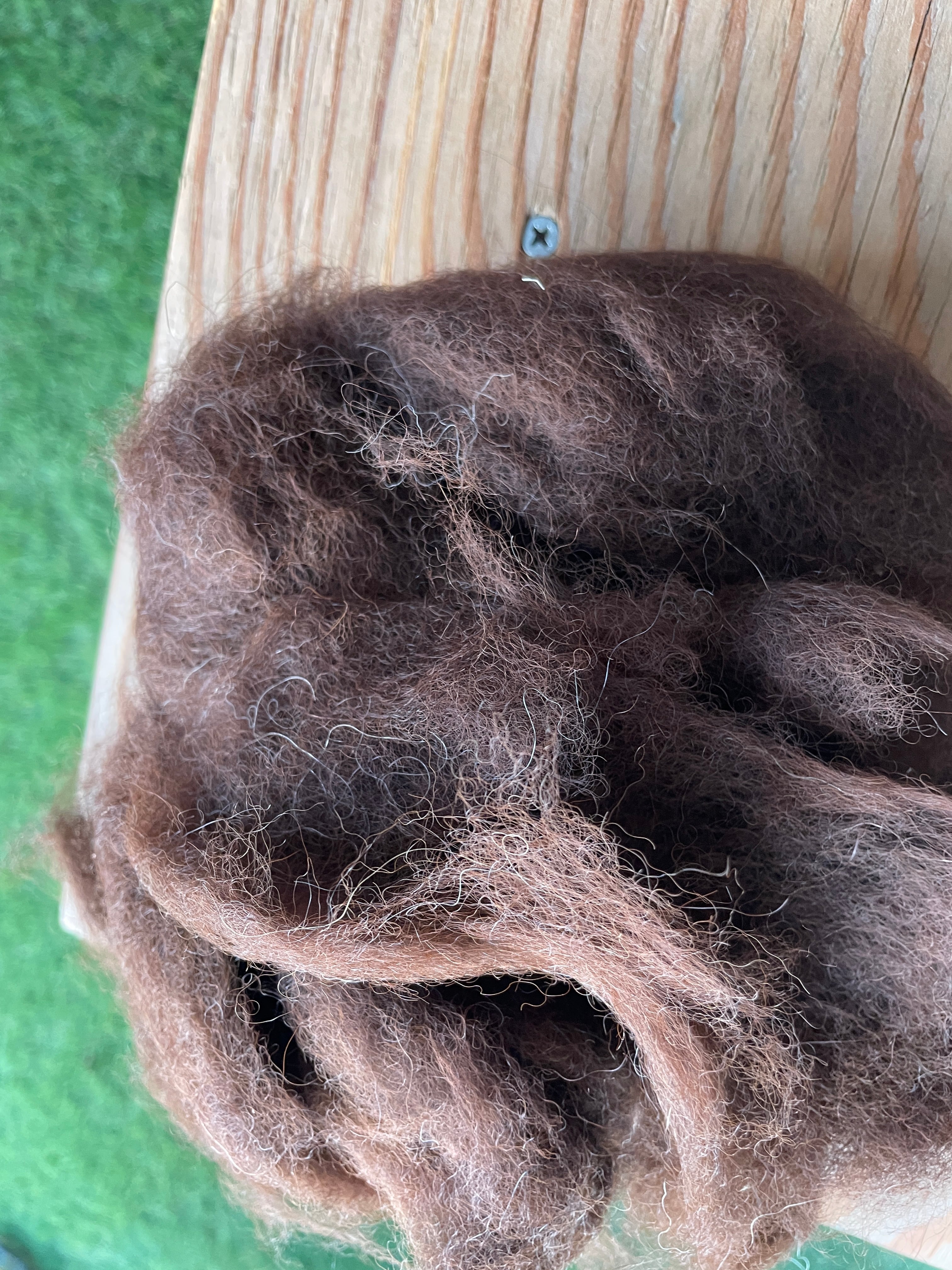 アルパカ原毛 希望 10g | ALPACA SHOP