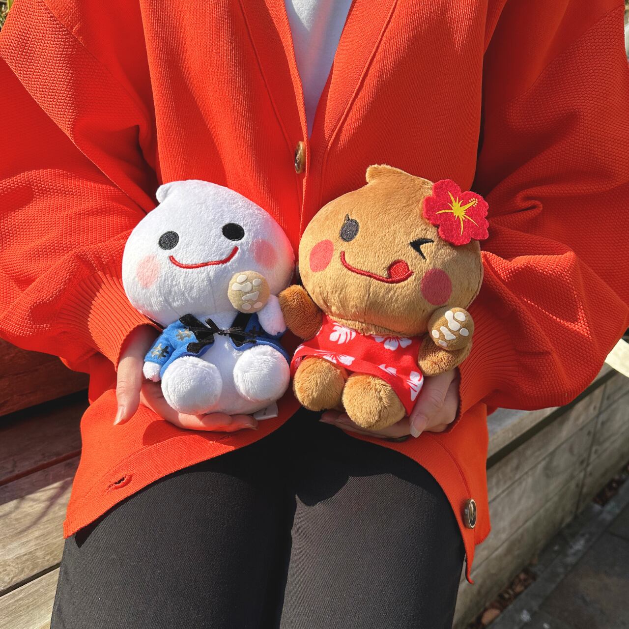 三幸製菓 雪の宿 どでかクッション