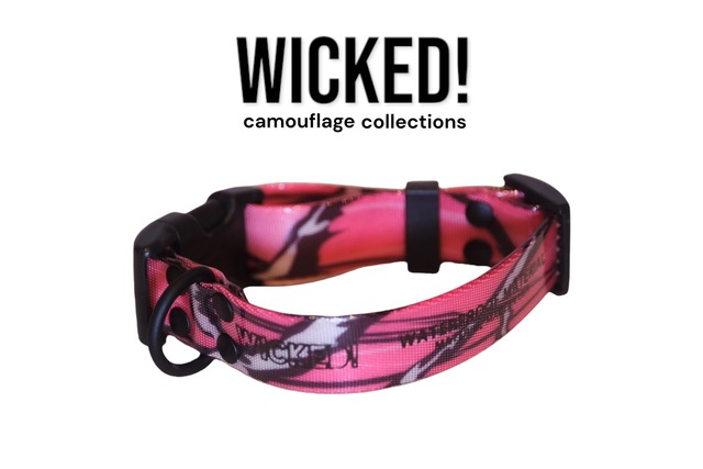 WICKED! waterproof dog collar camo ピンク 25mm ウィケッドウォータープルーフ 首輪 キャンプ アウトドア 犬 BIOTHANE®︎usa