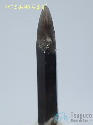 スモーキークォーツ 煙水晶 Smoky Quartz アメリカ TM-0028