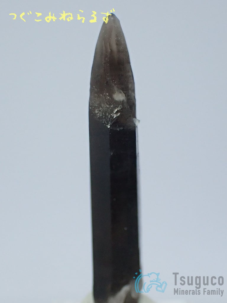 スモーキークォーツ 煙水晶 Smoky Quartz アメリカ TM-0028