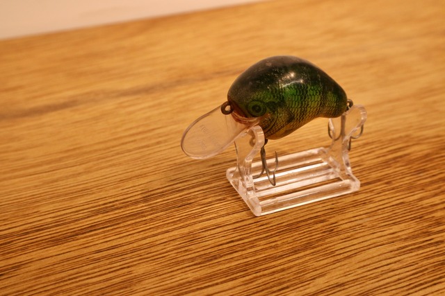 CORMORAN (コーモラン) / サーフブリーム