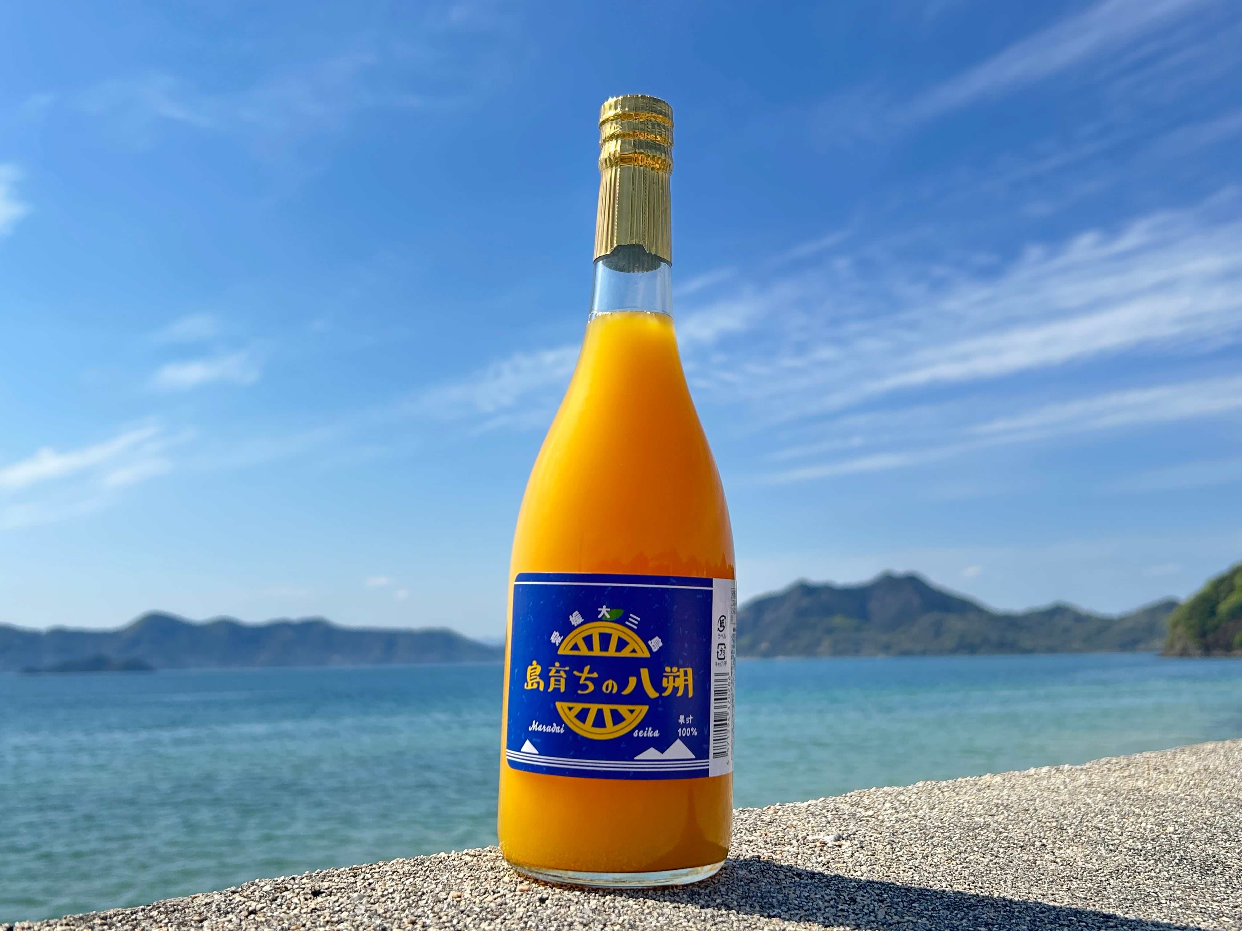 島育ちの八朔ジュース 720ml×3本入 | 株式会社丸大青果