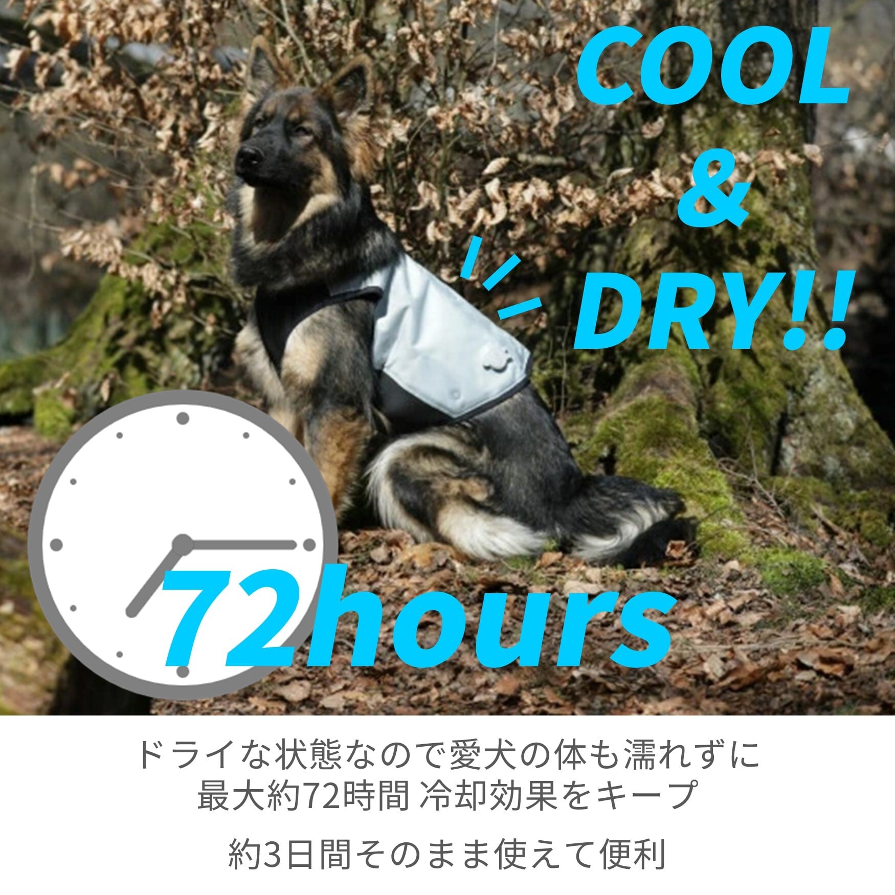 CANI COOL]カニクール クールコート Sサイズ【クールジャケット