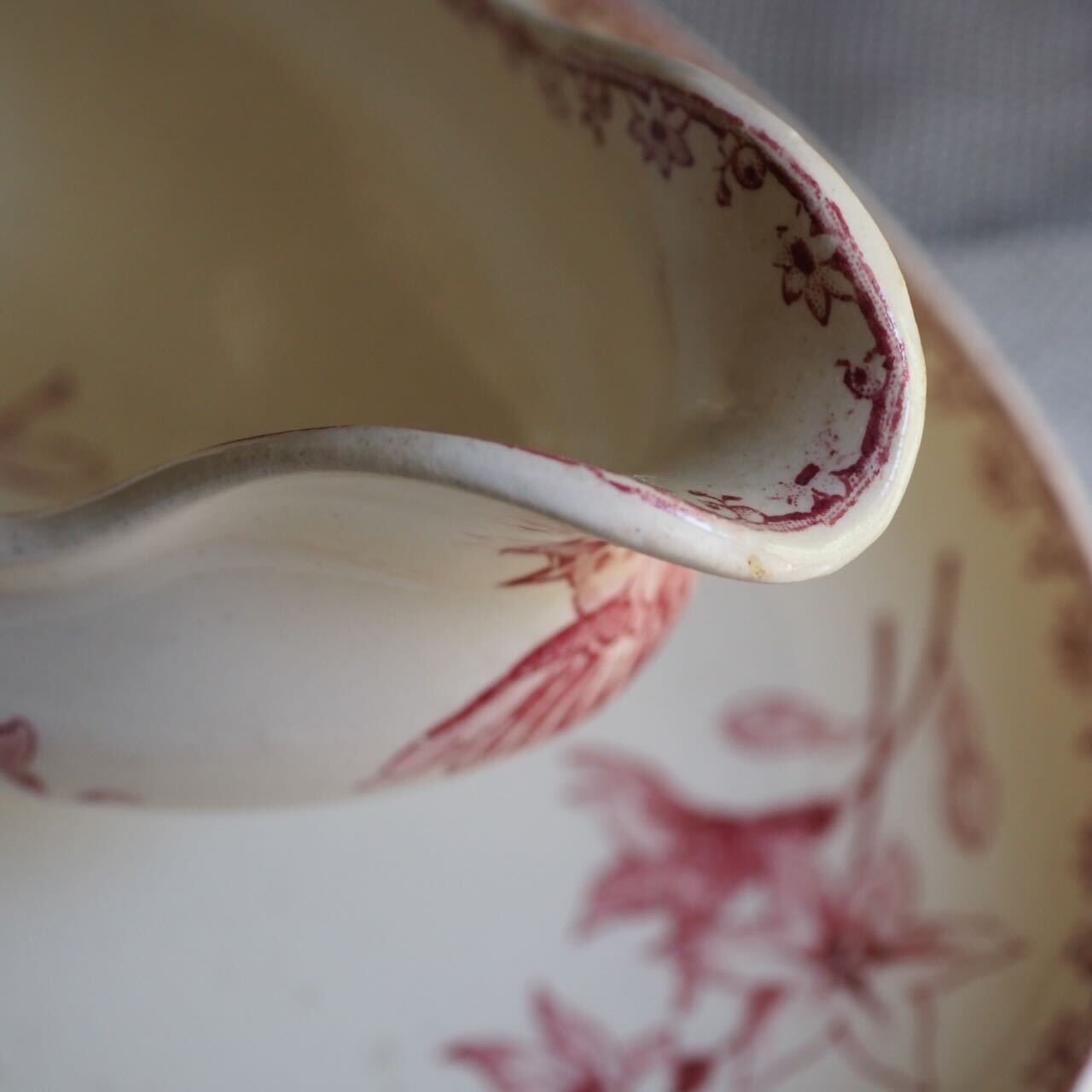 ディゴワンサルグミンヌ　Boulogne ローズ　ソーシエール ディゴワンサルグミンヌ Boulogne ローズ ソーシエール