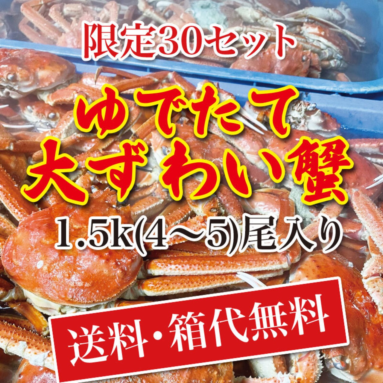 【送料・箱代無料】茹でたて 大ずわい蟹 1.5k(4〜5)尾入り