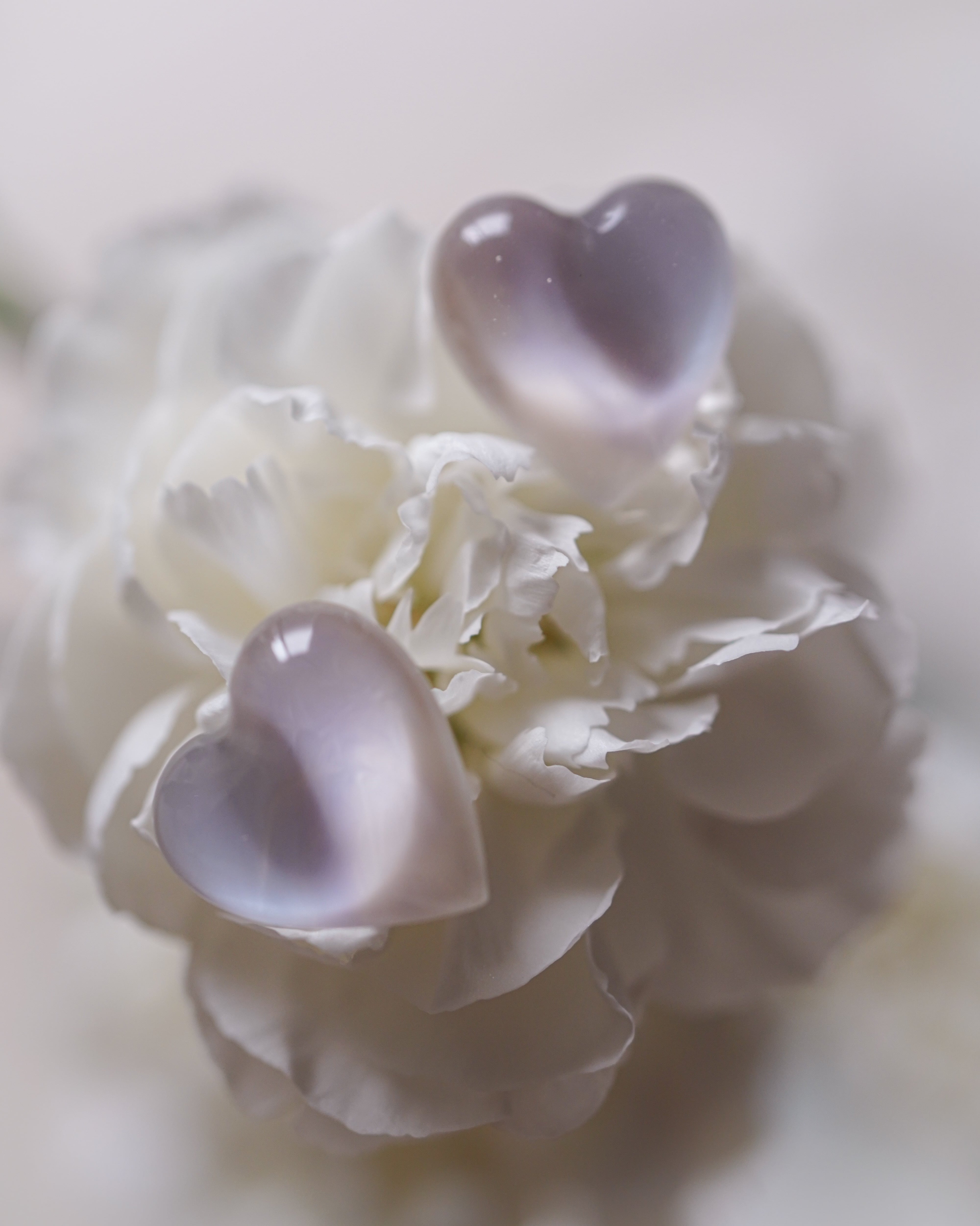 【今回限定品】『 夜明け 』耳飾り