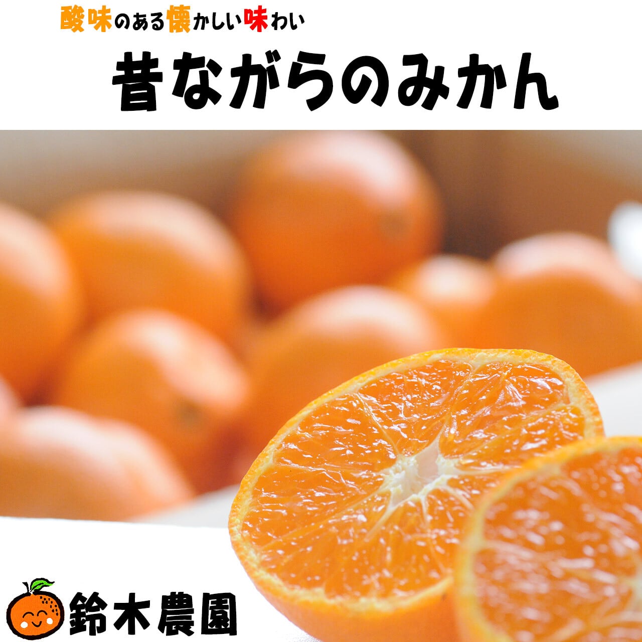 蔵出しみかん通販｜昔ながらのみかん 鈴木農園