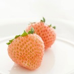 【3～4月発送】秋吉台いちご食べ比べセット⭐︎8パック