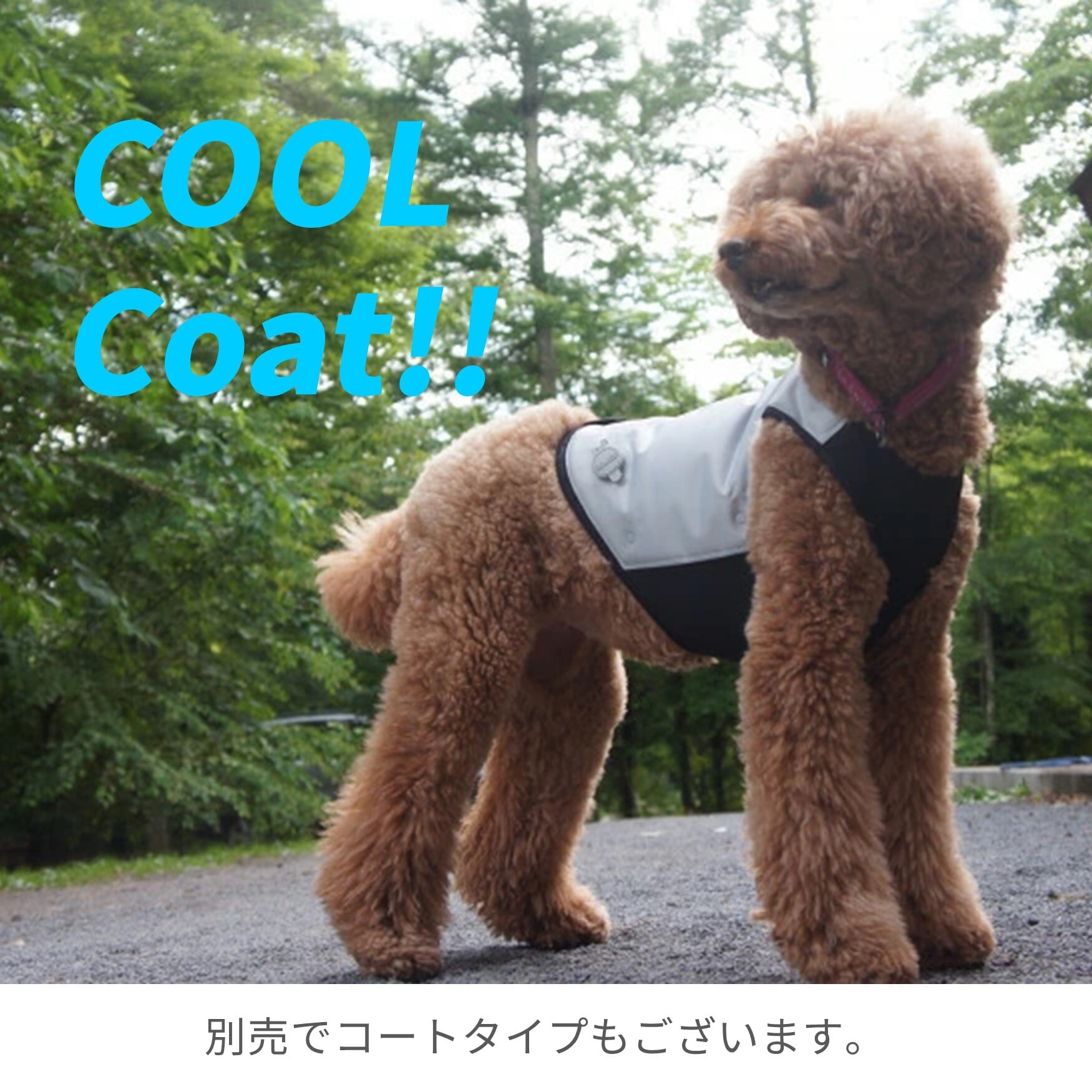 CANI COOL]カニクール クールマット Lサイズ【クーリングマット