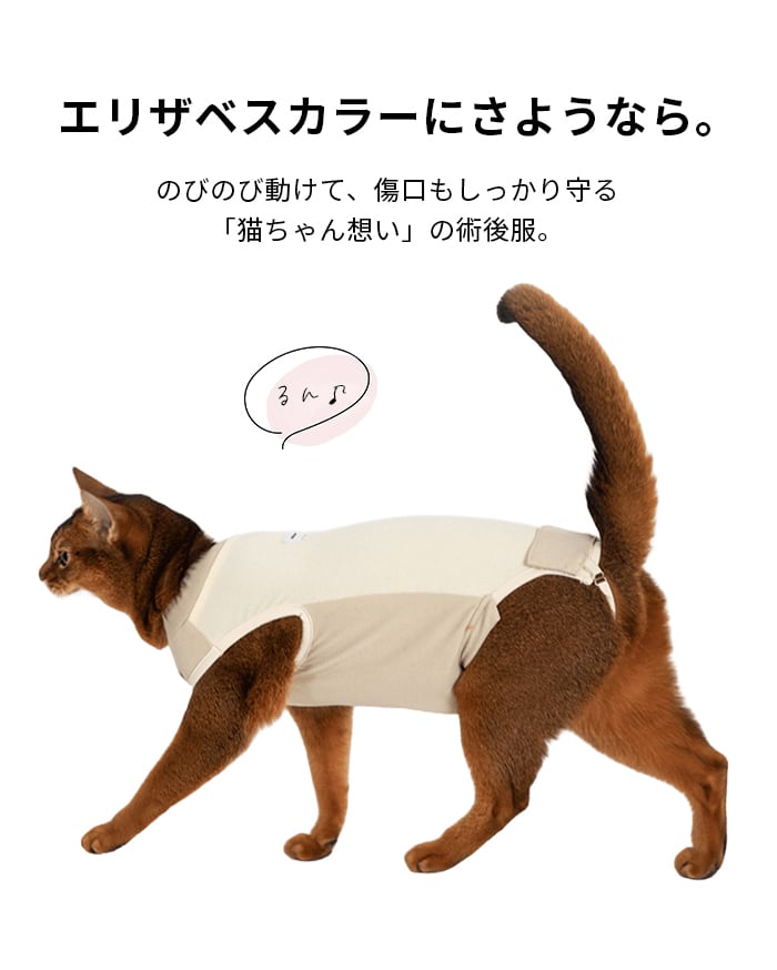 猫 術後服 避妊手術 去勢手術 傷口保護 エリザベスカラー 代替 術後