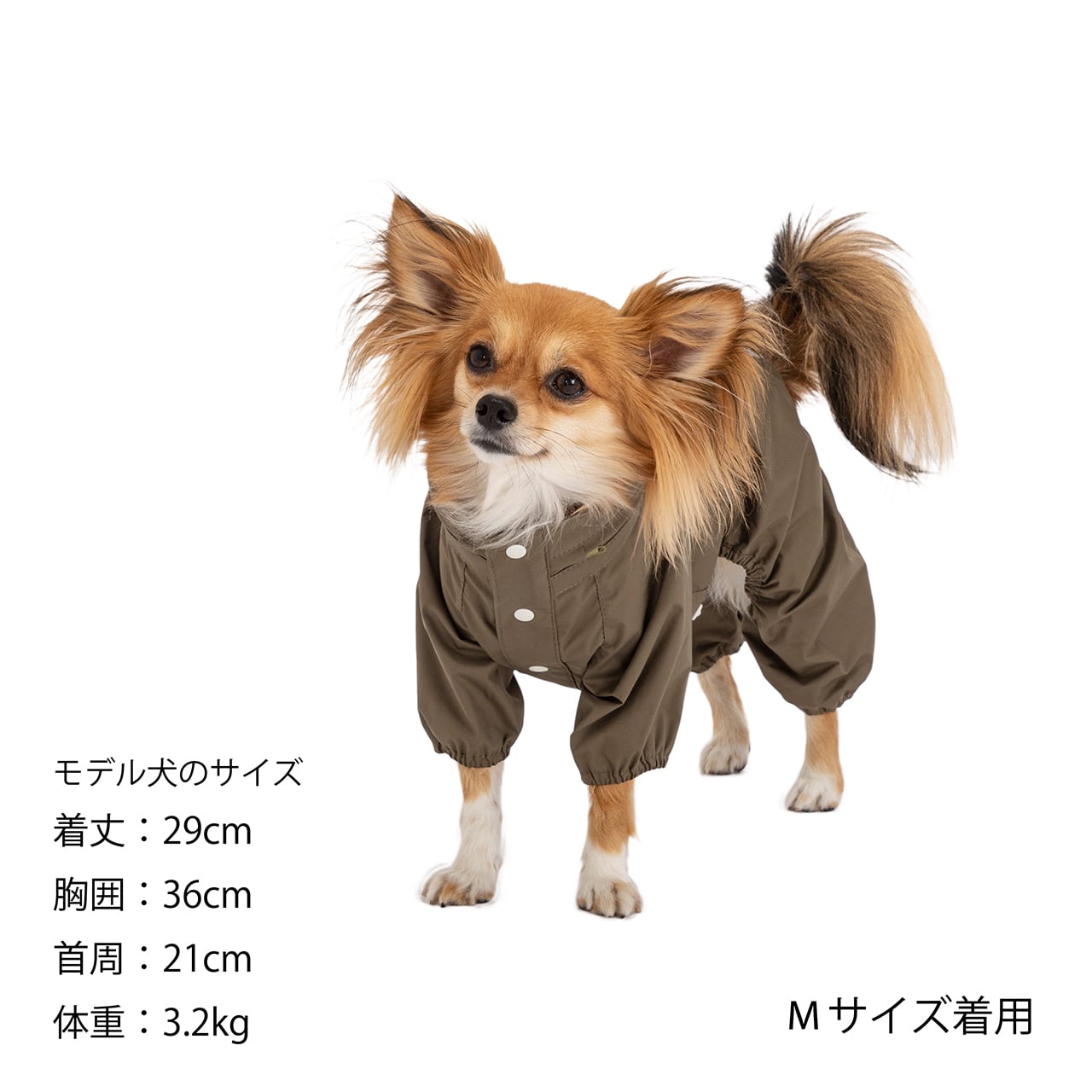 【なお】AIRBUGGYfordogTwinkleマンダリンブラザーズ 限定品】AirBuggy TWINKLE MANDARINE BROTHERS - メルカリ