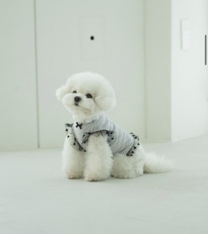 【Coco Chien 】グリビティシャツ