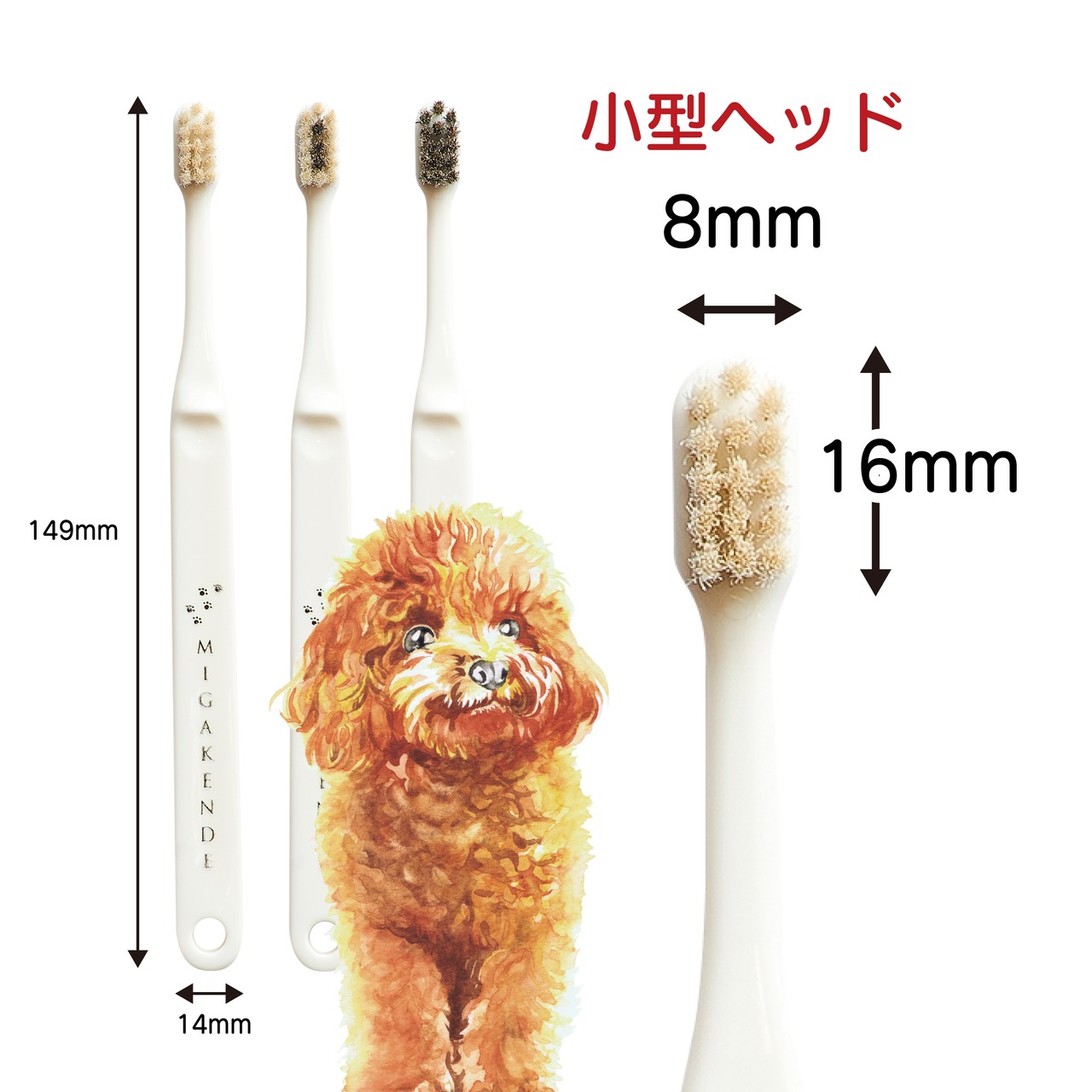 ミガケンデ 柔確植毛 ヤギ&ウマ 1本・画像2