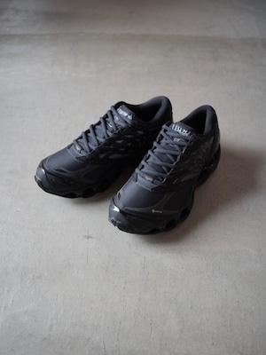 MIZUNO ミズノ【WAVE PROPHECY LS GTX】