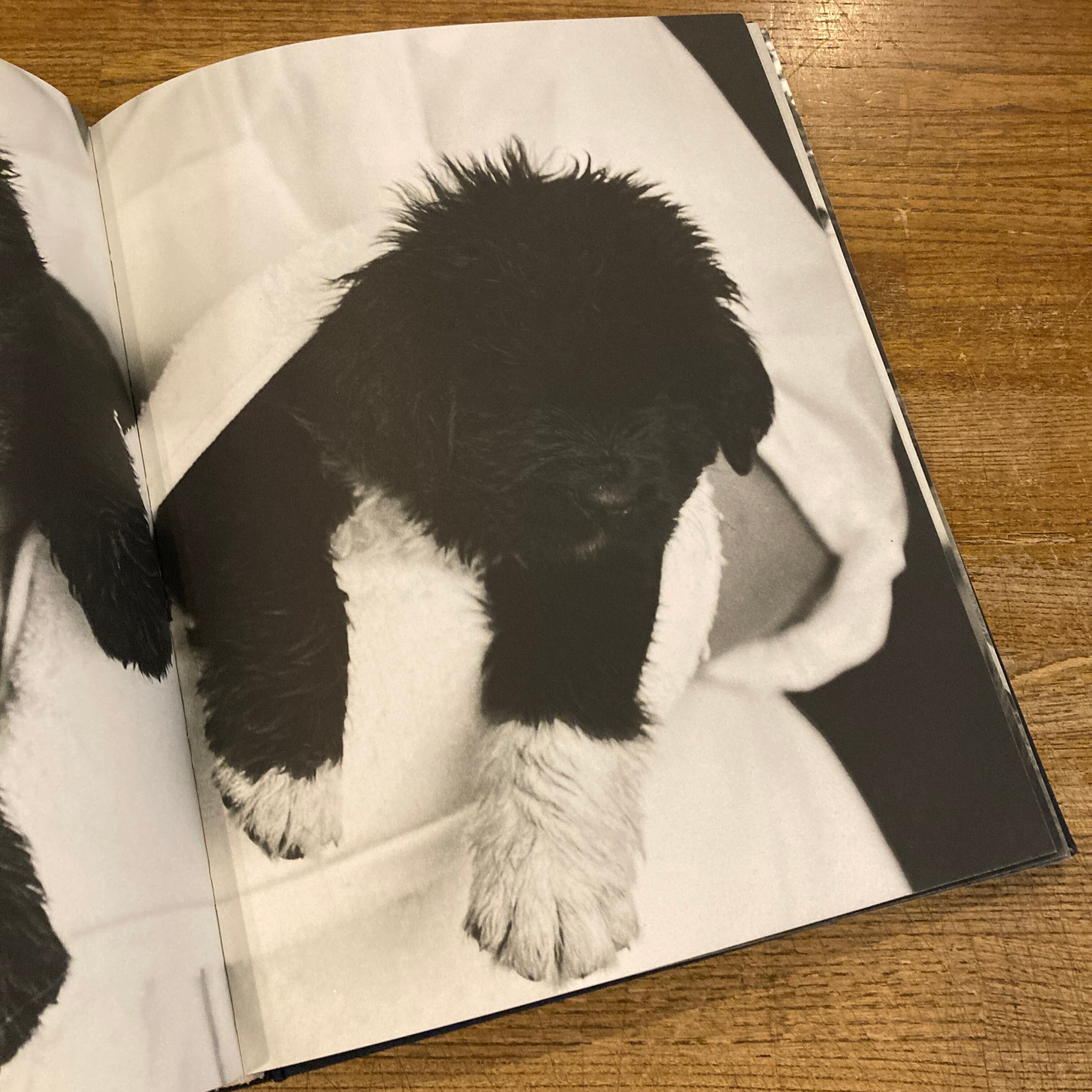 Gentle Giants: A Book of Newfoundlands / Bruce Weber | 百年