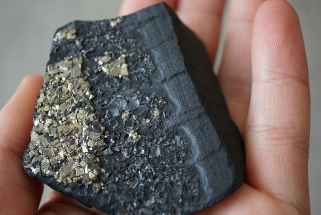 パイライト/シュンガイト Pyrite / Shungite 1193