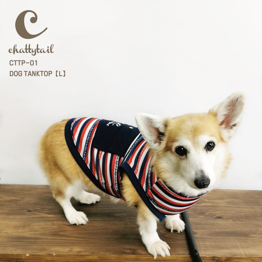 chattytail
