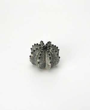 陶植/ランポー玉 - 八角(小)W/BL-L