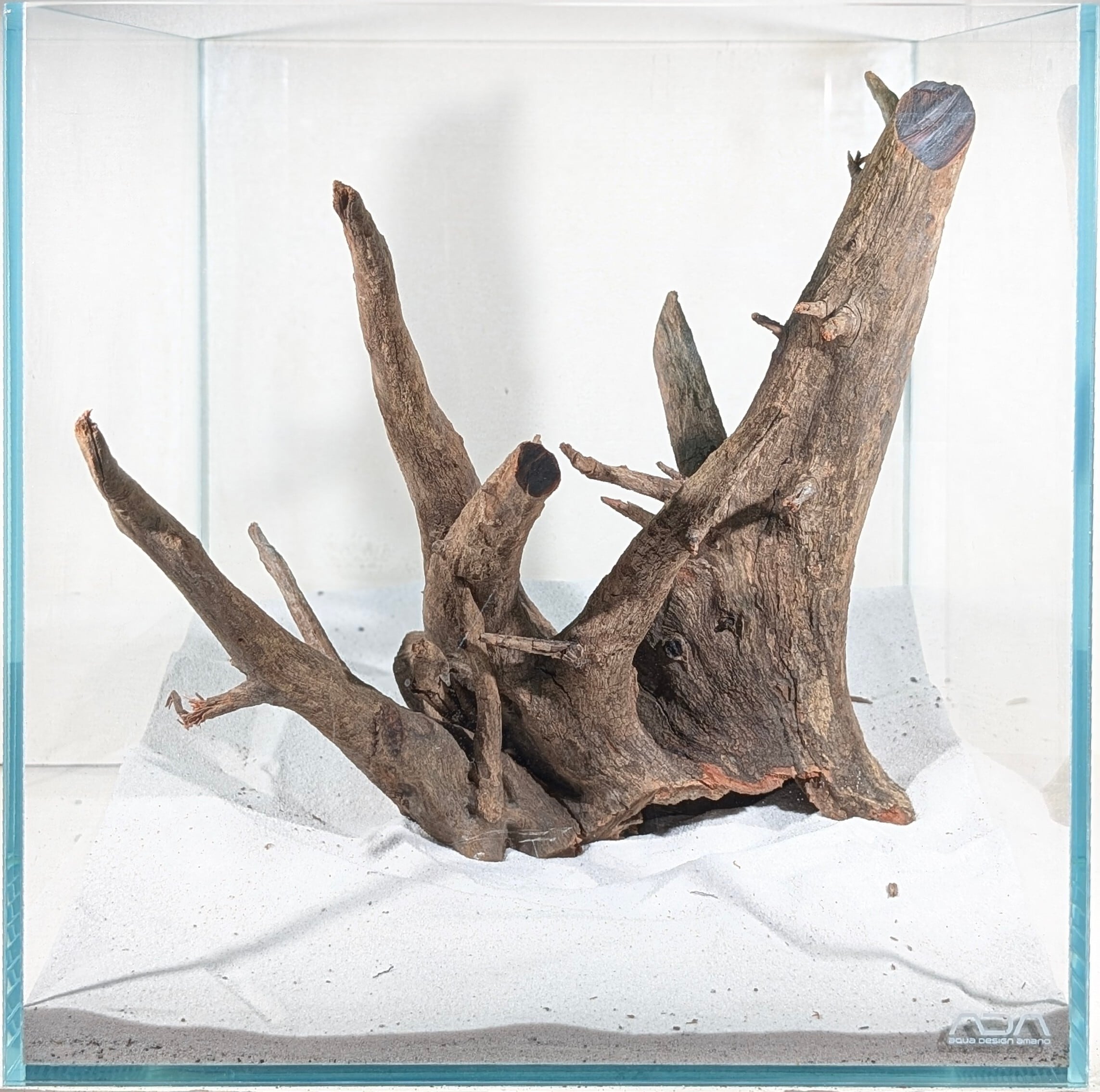 ブラックホーンウッド【BHW157】 流木 アクアリウム 水槽 熱帯魚