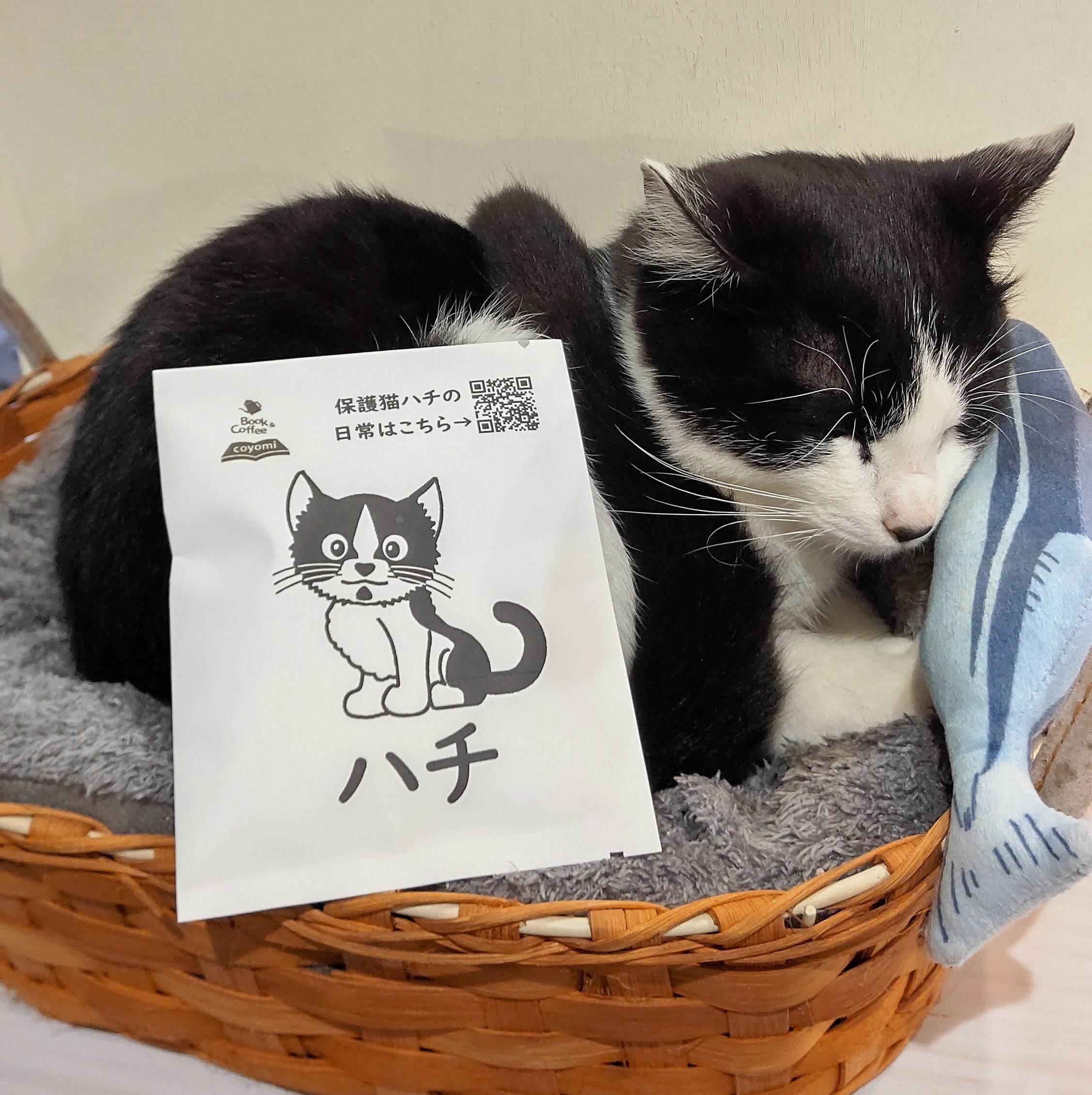 保護猫活動支援＞ハチのドリップバッグコーヒー | bccoyomi