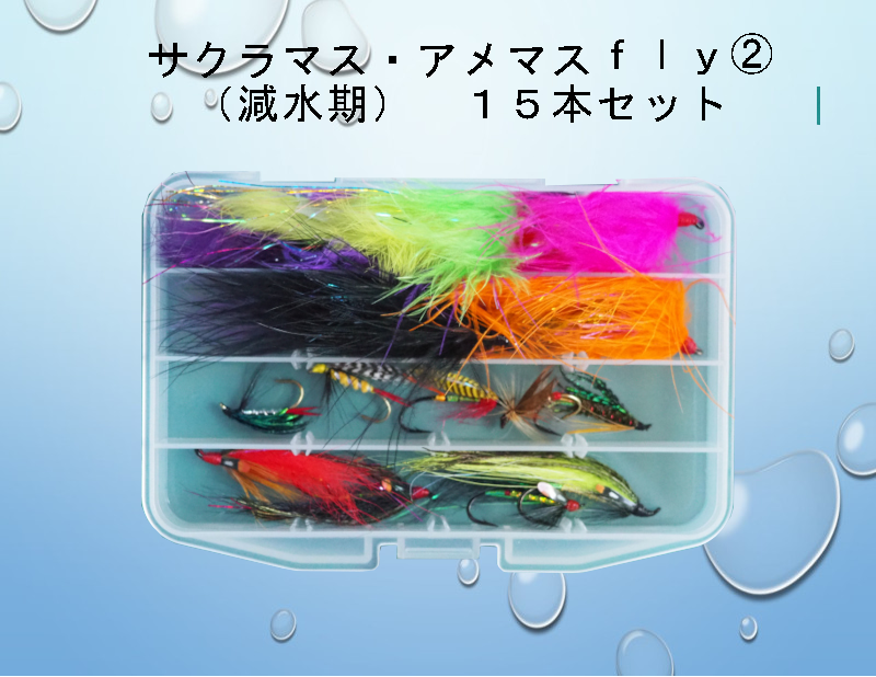 ルアーロッド　サクラマス　アメマス TULALA | Ford every stream | » 【STAFF】2025シーズン！海アメマス