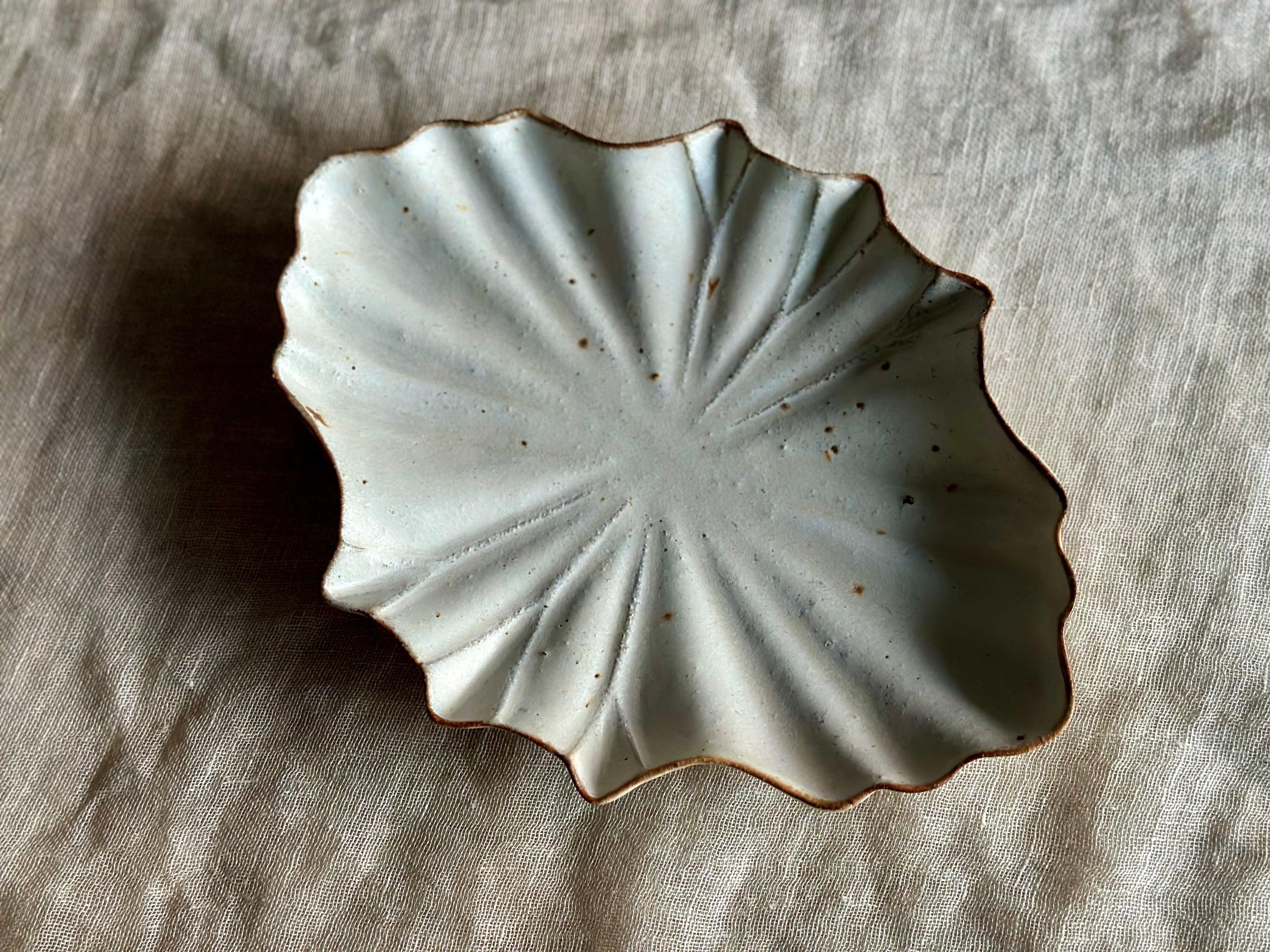 antique Shiromoegiカレハスプレート