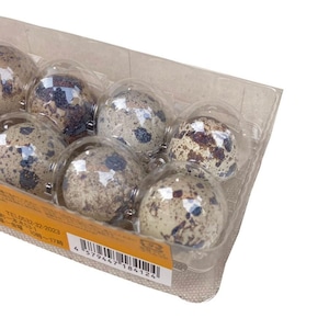 【有精卵】孵化用 豊橋産 日本うずらの卵 10個入り 3パック