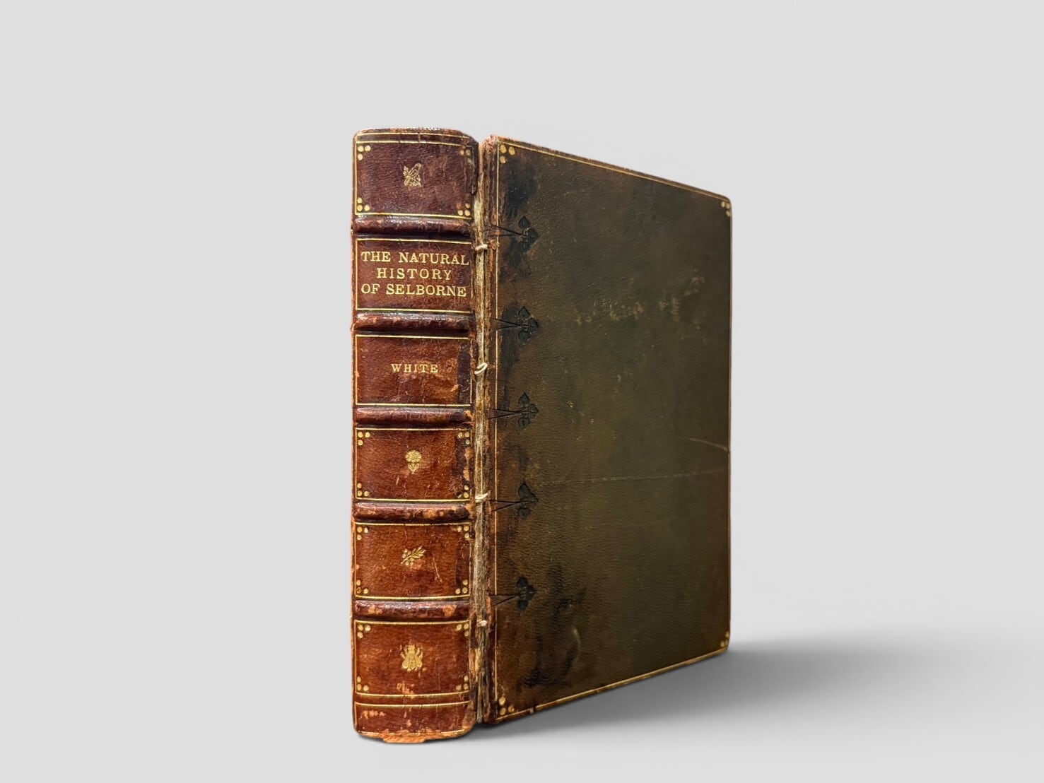 【SH110】The Natural History of Selborne /Gilbert White
