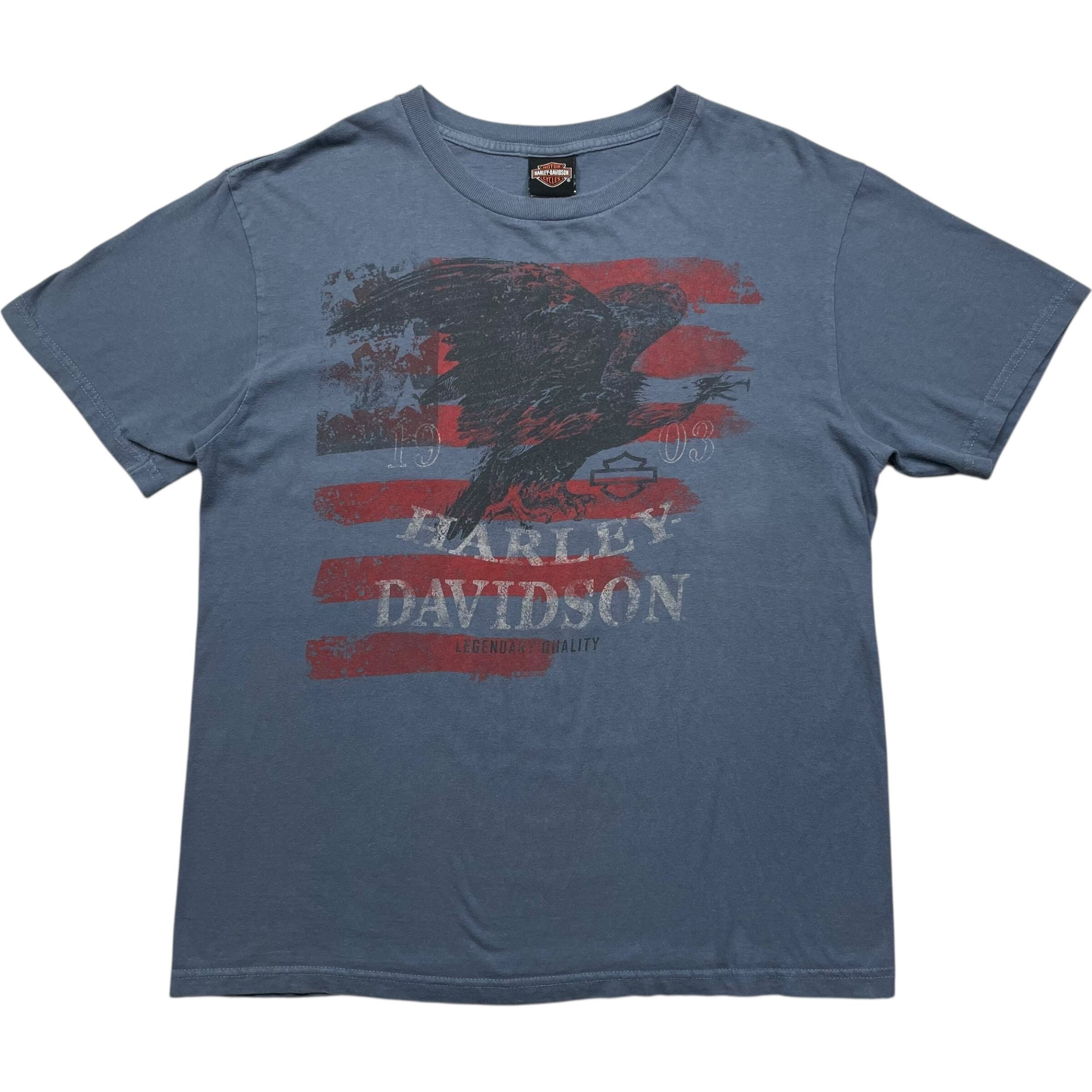 《L》 Harley-Davidson ハーレーダビッドソン Tシャツ 両面プリント イーグル スカル ブルー USA製 no.7582
