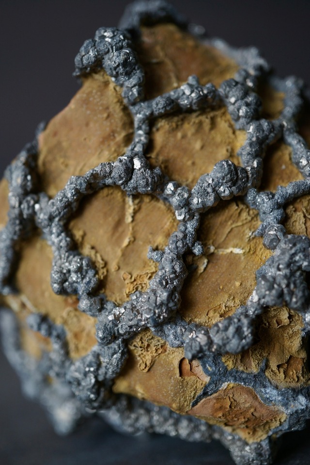 パキスタン産パイライト / リモナイト Pyrite / Limonite 1792