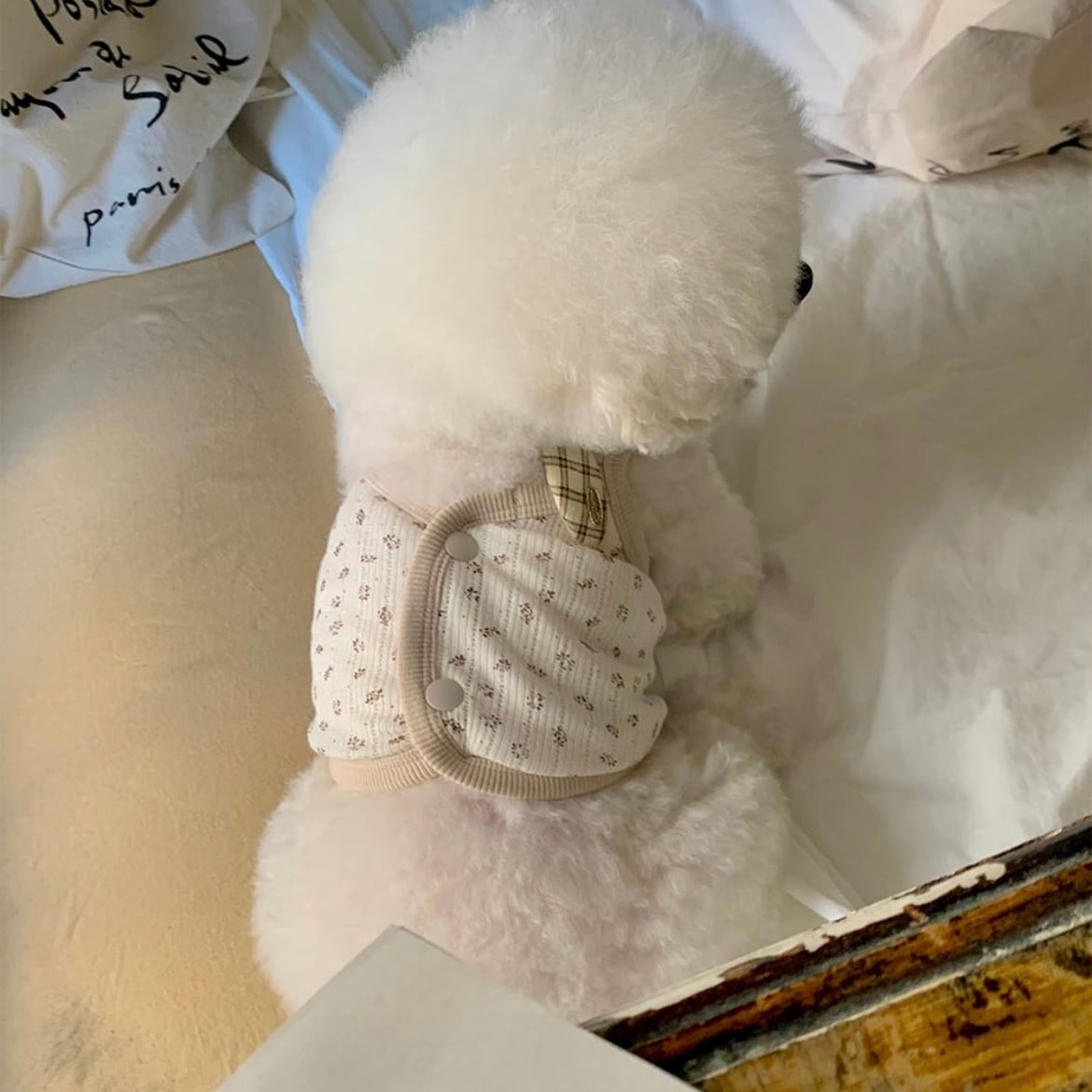 【seenii】pipo! crop top (beige)