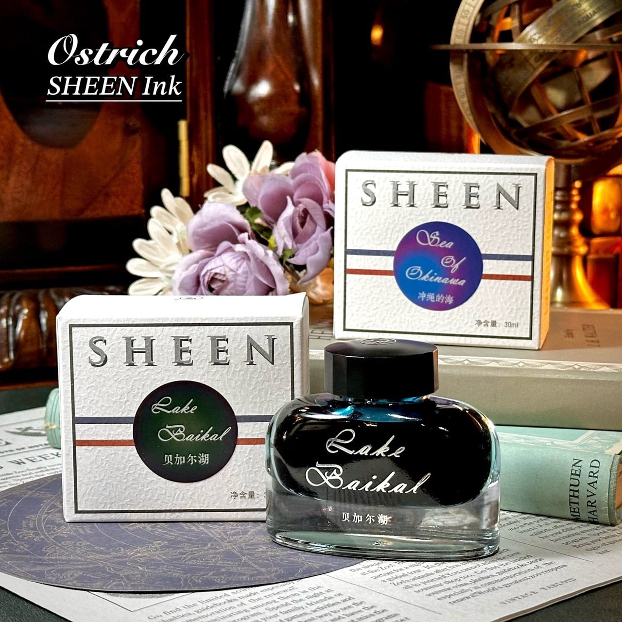 セントエルモ　OSTRICHカラー　ターニングポイント ターニングポイント セントエルモ STRICH STOREカラー - スポーツトイ